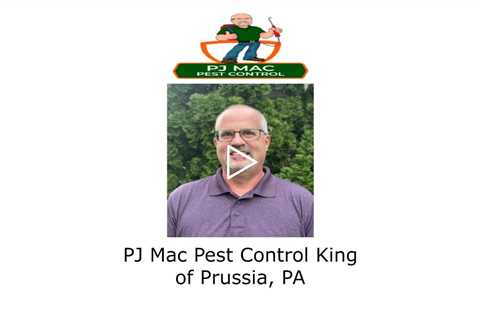 PJ Mac Pest Control King of Prussia, PA - PJ Mac Pest Control