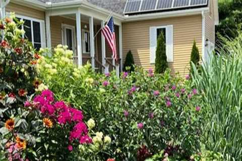 Thriving Outdoors: Landscaping Strategies That Complement Tree Care Services In The New Hampshire..