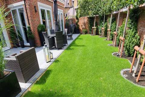 How A Landscaper In New Hampton Can Transform Your Trees With Expert Maintenance