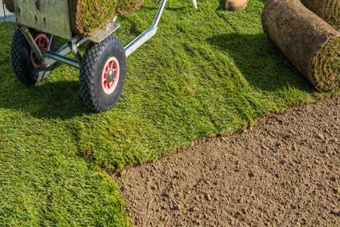 Maximising Your Investment: How Routine Landscape Maintenance Protects New Grass Seed In Manchester