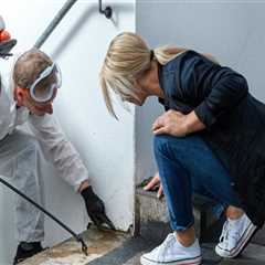 Mold Cleanup After Construction Cleaning: How To Keep Your Seattle Home Healthy