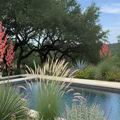 How A Pool Contractor In Pleasanton Can Enhance Your Front Yard Landscaping?