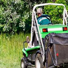 Boost Your Home's Value with Expert Lawn Fertilization
