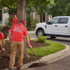 Provo Utah Landscape Maintenance – Truco Services