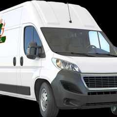 PJ Mac Pest Control Paoli, PA · Wednesday, Nov 5 📸