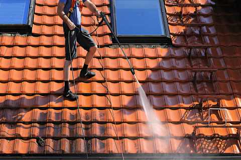 Maximizing Energy Efficiency with Lighting and Roof Softwashing