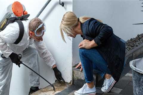 Mold Cleanup After Construction Cleaning: How To Keep Your Seattle Home Healthy