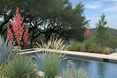 How A Pool Contractor In Pleasanton Can Enhance Your Front Yard Landscaping?