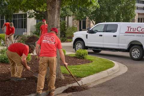 Provo Utah Landscape Maintenance – Truco Services