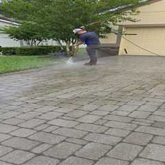 Go Green with Eco-Friendly Paver Sealing in Jacksonville - Alpha Wiki