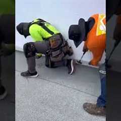 New flat roof for a family in Oahu