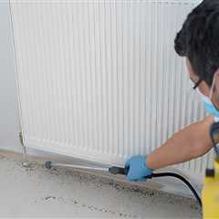 Effective Rodent Control for Homes in Holyoke