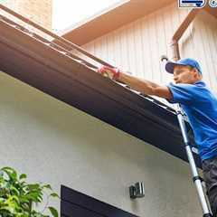 Gutter specialists Willow Grove, PA · Tuesday, Nov 25 📸