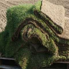 From Tree Care Services to Picture-Perfect Lawns: Professional Sod Installation in Fleming Island,..