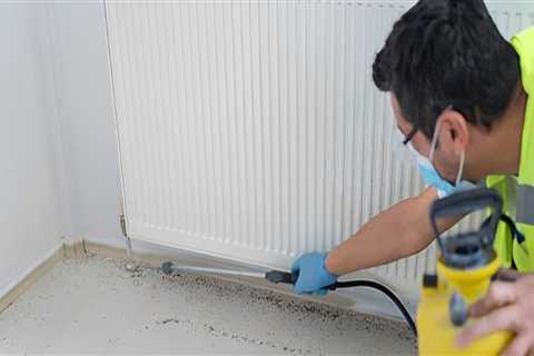 Keep Your Fayetteville Landscape Pest-Free with Omega Pest Solution