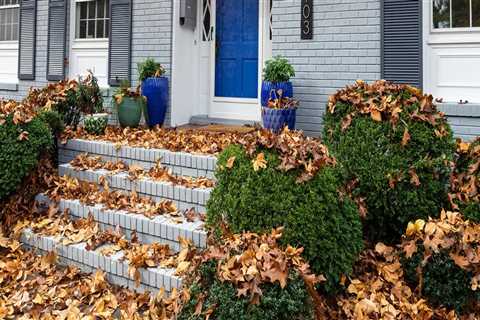 How Front Yard Landscaping and Emergency Plumbing Services Protect Phoenix Homes