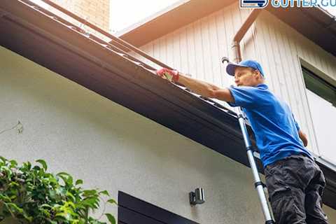 Gutter specialists Willow Grove, PA · Tuesday, Nov 25 📸