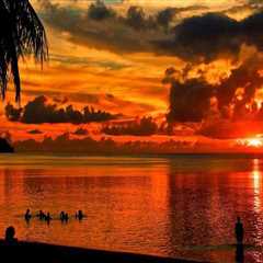 Professional Local Painting Contractors in Dee Why