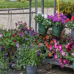 From Land Clearing to Lasting Beauty: Professional Landscaping Service in Colleyville, TX