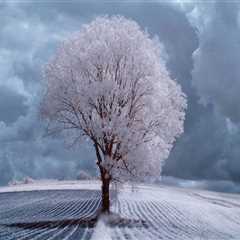 Paver Sealing Jacksonville for Walkways