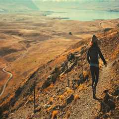 Best House Painters in Dee Why