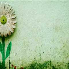 Your Guide to Professional Paver Sealing Services