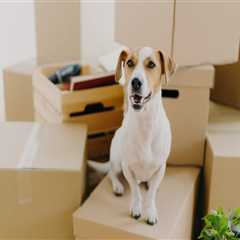 How Local Moving Companies Estimate Costs: What Affects Your Quote