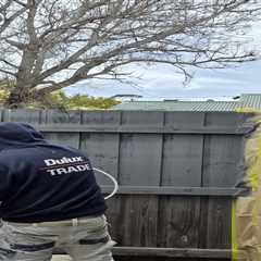 Belmont Interior Painting for Condos