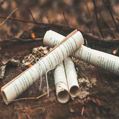 Your Guide to Interior Painters in Belmont