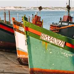 Top Rated Residential Painters in Belmont