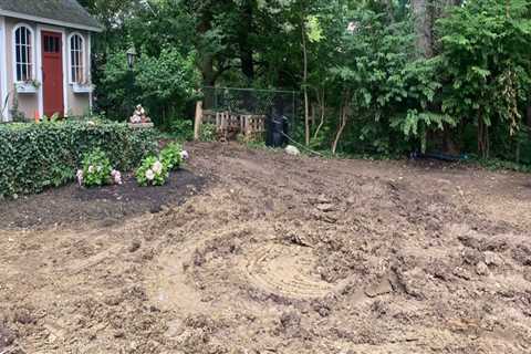 How Lawn Maintenance Can Undo Thousands in Water Damage Repairs