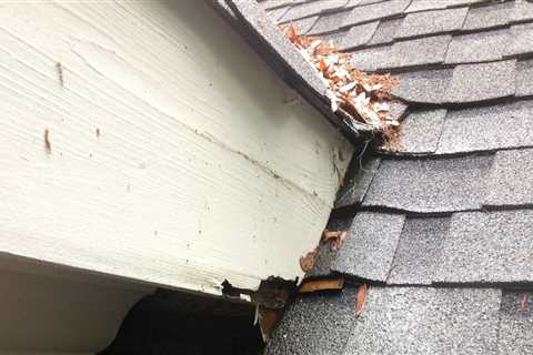 How Long Does a Roof Repair Take Timeline for Common Fixes