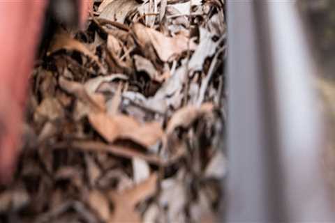 Tree Care and Its Impact on Roofing Performance