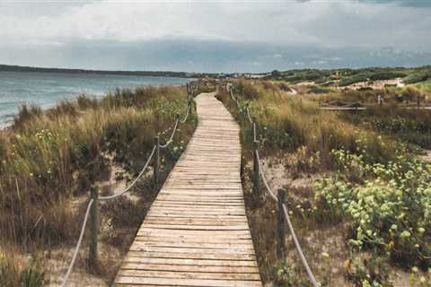 Top Rated Local Painting Contractors in Dee Why