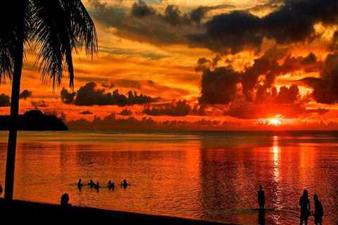 Professional Local Painting Contractors in Dee Why