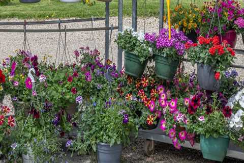 From Land Clearing to Lasting Beauty: Professional Landscaping Service in Colleyville, TX