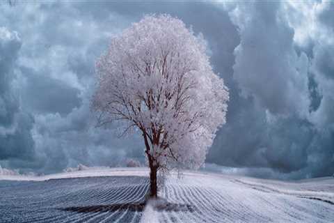 Paver Sealing Jacksonville for Walkways