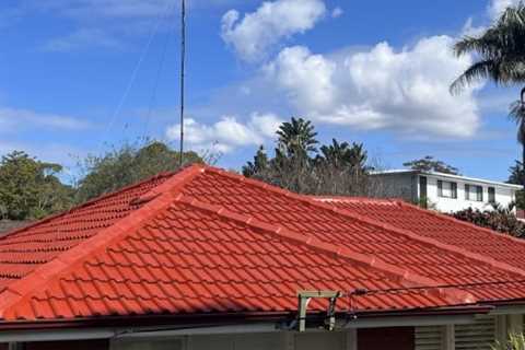 Best Options for Professional Painters