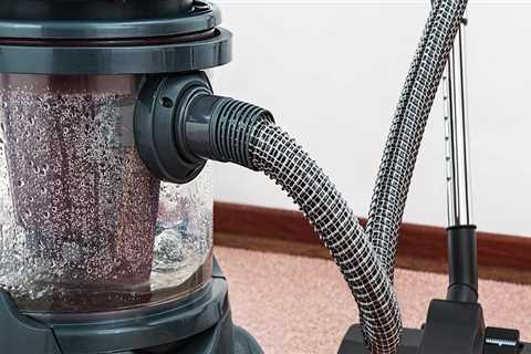 Refresh Your Home with Organic Pest Control & Rug Cleaning