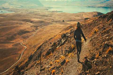 Best House Painters in Dee Why