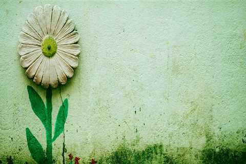 Your Guide to Professional Paver Sealing Services