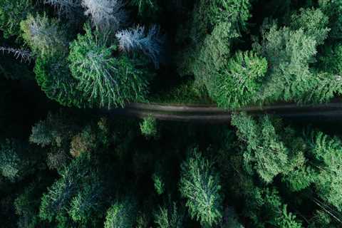 Top Rated Commercial Painters in Dee Why