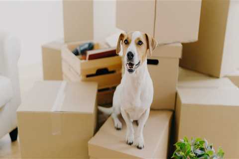 How Local Moving Companies Estimate Costs: What Affects Your Quote