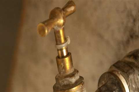 Enhance Your Home's Landscape with Quality Water Softening