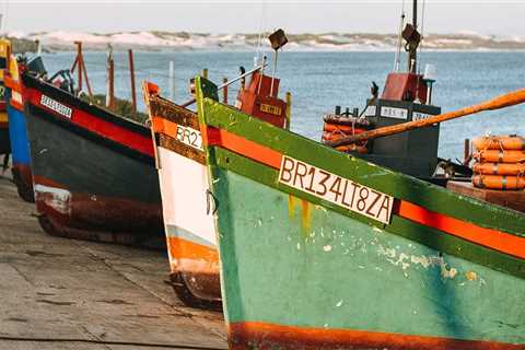 Top Rated Residential Painters in Belmont