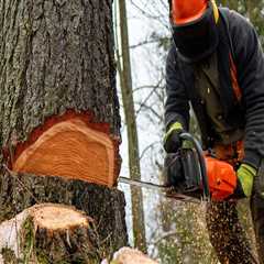 Engaging Residents in Tree Maintenance: Strategies for Real Estate Success