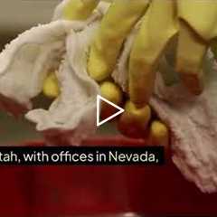 Commercial Cleaning Services Pleasant View Utah