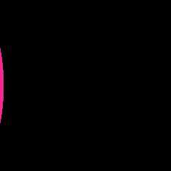 The Evolving Role of the Fire Safety Risk Assessor