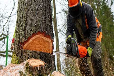 Engaging Residents in Tree Maintenance: Strategies for Real Estate Success