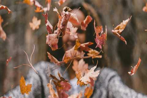 Essential Tree Maintenance Tips for Real Estate Assets Throughout the Seasons